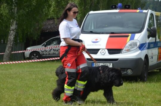 Den s vodními záchranáři na Lipně – projekt Mládež kraji – kraj Jihočeský – 6.6.2026 - RADAMBUK | Rada dětí a mládeže Jihočeského kraje