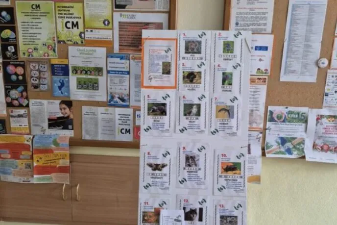 Environmentální projekty - RADAMBUK | Rada dětí a mládeže Jihočeského kraje