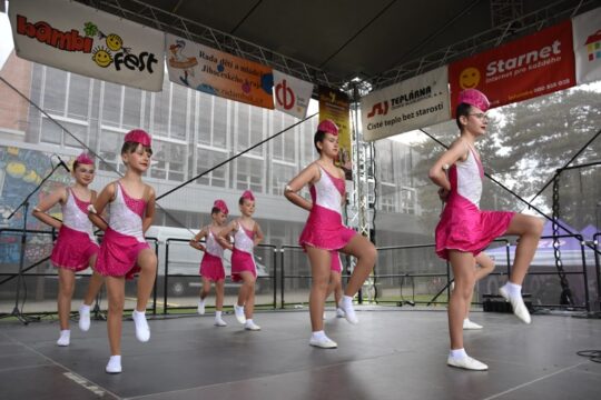 26. ročník – BAMBIFEST 15. – 16. 5. 2026 - RADAMBUK | Rada dětí a mládeže Jihočeského kraje