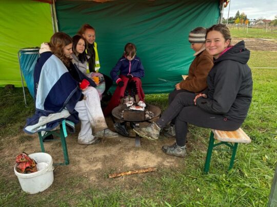 Víkendy s koňmi 4. 10. – 15. 11. 2025- projekt Mládež kraji – kraj Jihočeský - RADAMBUK | Rada dětí a mládeže Jihočeského kraje