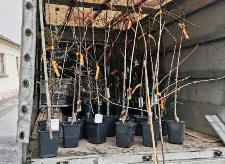 Environmentální projekty - RADAMBUK | Rada dětí a mládeže Jihočeského kraje