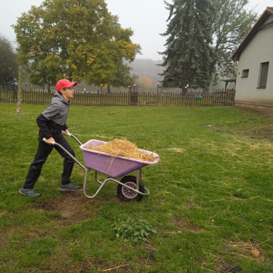 Projekt Život na statku – 12. 10. a 26. 10. 2024- Mládež kraji – kraj Jihočeský - RADAMBUK | Rada dětí a mládeže Jihočeského kraje