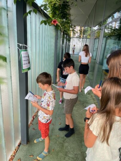 Projekt Mládež kraji – kraj Jihočeský – Cesta za pokladem - RADAMBUK | Rada dětí a mládeže Jihočeského kraje