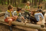 Skauti pořádají nejvíce táborů v Česku - v roce 2016 téměř pro 30 tisíc kluků a holek
