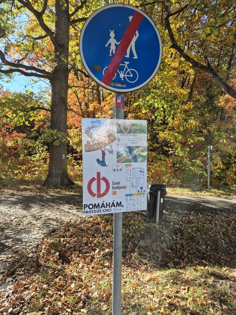 72 hodin – Uklidíme Branišovský les 16. 10. 2026 - RADAMBUK | Rada dětí a mládeže Jihočeského kraje