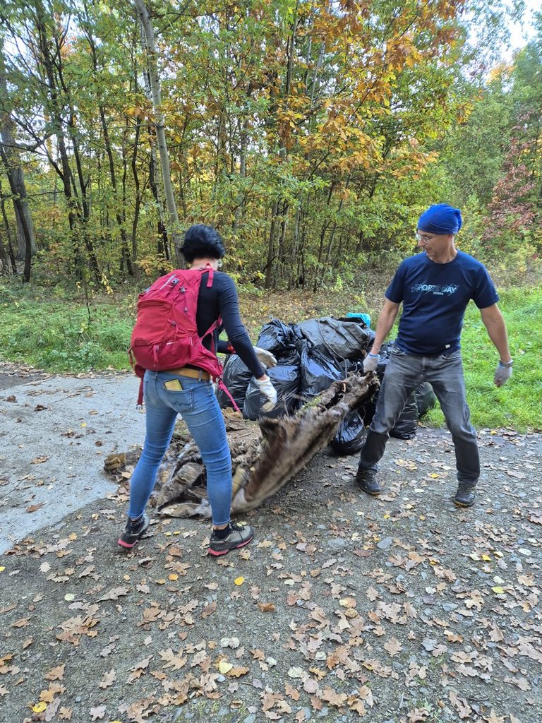 72 hodin – Uklidíme Branišovský les 16. 10. 2026 - RADAMBUK | Rada dětí a mládeže Jihočeského kraje