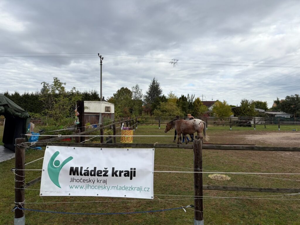 Svět očima koní – projekt Mládež kraji – kraj Jihočeský – 11.10. 2026 - RADAMBUK | Rada dětí a mládeže Jihočeského kraje