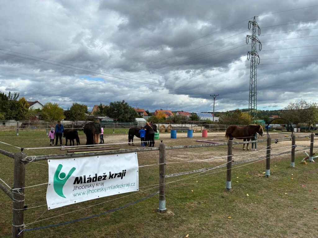 Svět očima koní – projekt Mládež kraji – kraj Jihočeský – 11.10. 2026 - RADAMBUK | Rada dětí a mládeže Jihočeského kraje