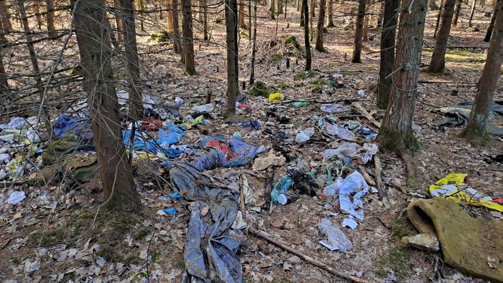 72 hodin – Uklidíme Branišovský les 16. 10. 2026 - RADAMBUK | Rada dětí a mládeže Jihočeského kraje