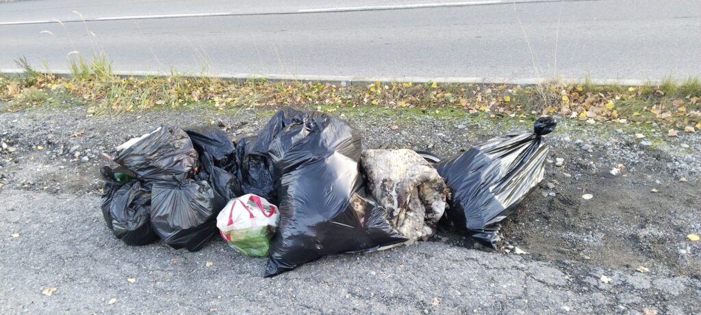 Uklidíme Park Čtyři Dvory a okolí - projekt 72 hodin 14. 10. 2026 - RADAMBUK | Rada dětí a mládeže Jihočeského kraje