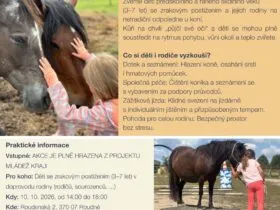 Svět očima koní – projekt Mládež kraji – kraj Jihočeský – 10. 10. 2026