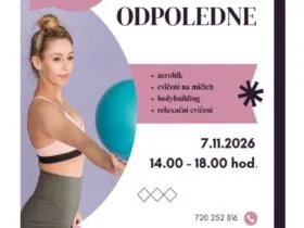 7. 11. 2026- Sportovní odpoledne – projekt Mládež kraji – kraj Jihočeský